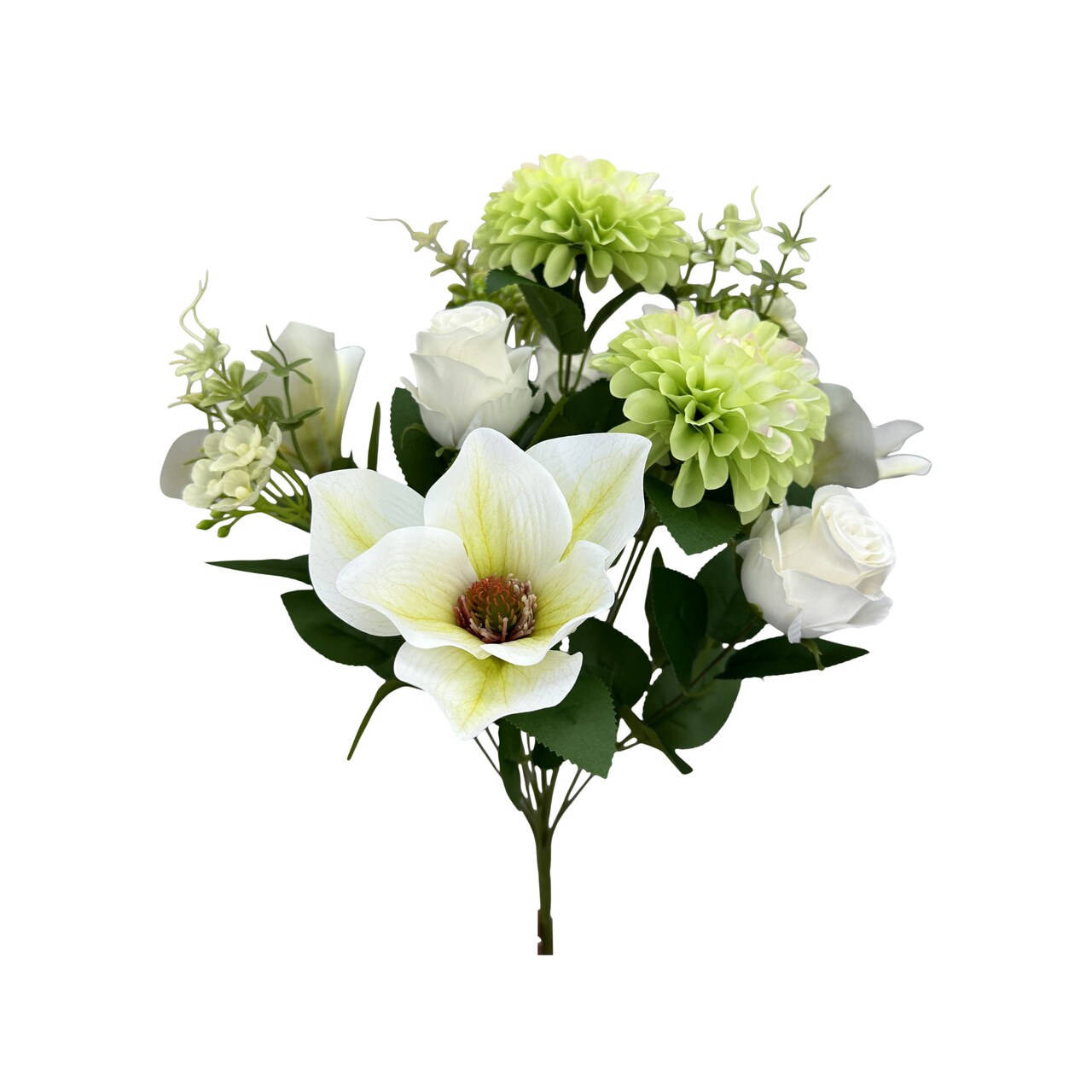 20" Cream Zinnia Magnolia Rose Bush x12 | Mixed Floral Bush-64011CM